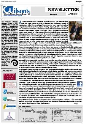 WDSG_UK_Newsletter_vol19_Jan_19
